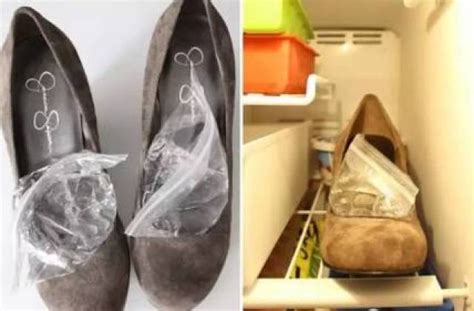 鞋子放冰箱 發財龜